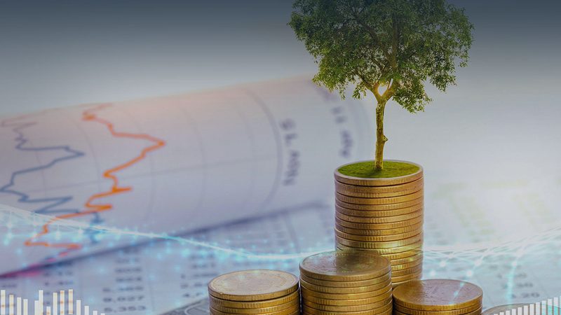ISO认证咨询，中小企业的成长加速器