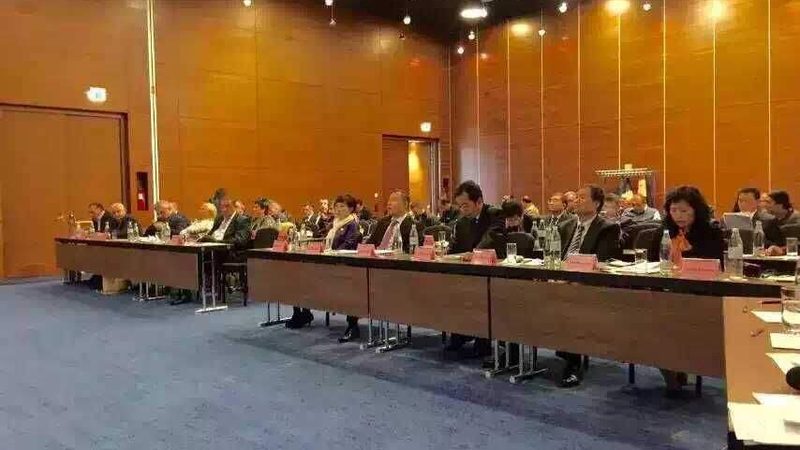 境外并购尽职调查：揭秘企业国际化风险防控的关键步骤**